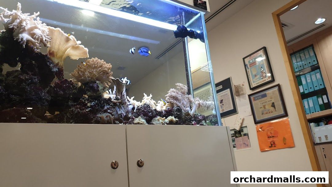 Apple Ear Nose Throat Sinus and Snoring Centre