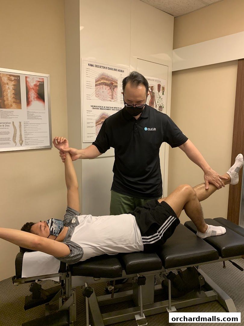 Arc of Life Chiropractic Singapore