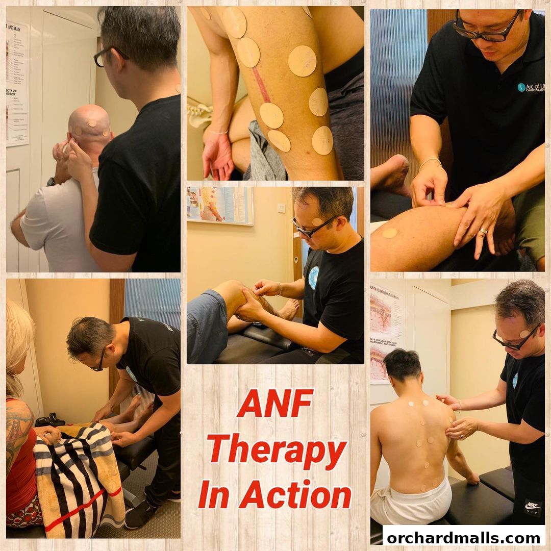 Arc of Life Chiropractic Singapore