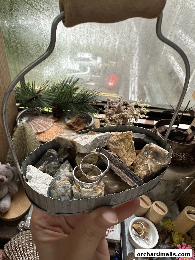 A hand holds a rustic metal bucket filled with stones and rings, with natural elements in the background.