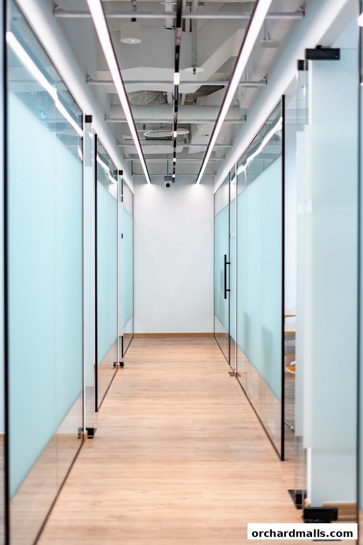 ASE Academy Flagship Campus 爱思学院全球旗舰校区