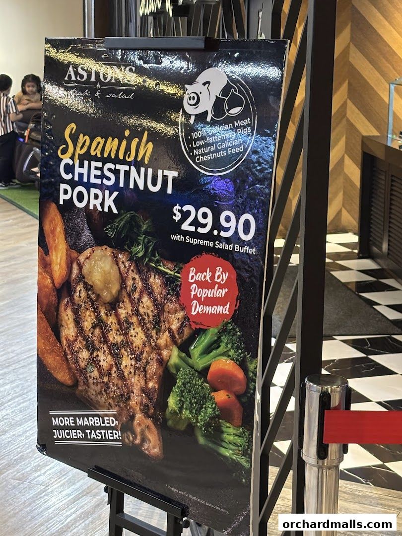 Menu page for ASTONS Steak  Salad  The CentrePoint