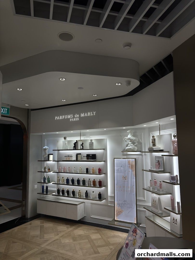 A well-lit perfume shop interior showcasing various designer fragrances on shelves.