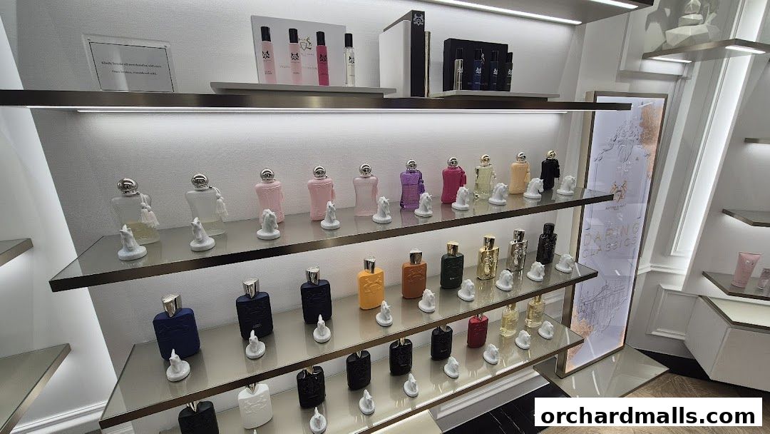 A display of various designer perfumes on shelves with elegant lighting.