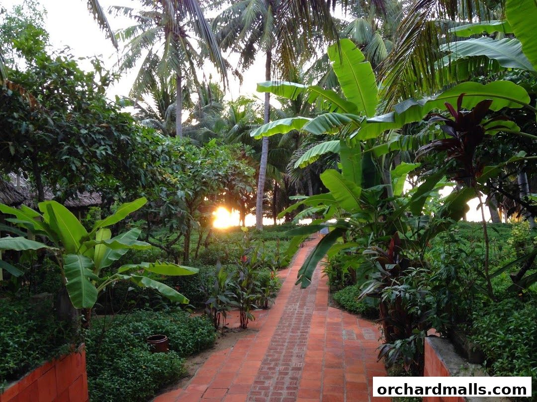 A brick pathway winds through a lush tropical garden with palm trees and banana plants.