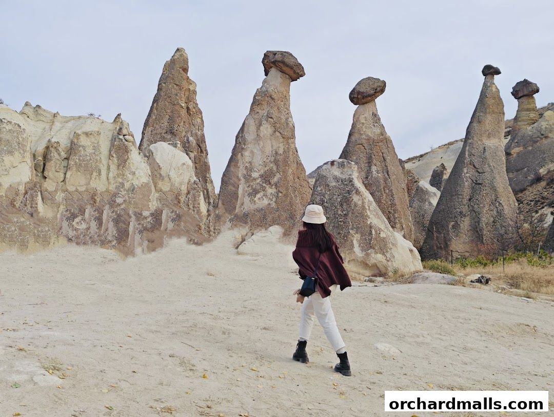 A person in a hat and poncho walks through a landscape of unique rock formations.