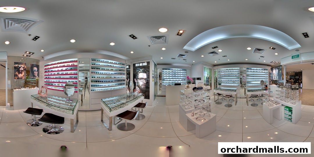 Interior view of a modern optical shop showcasing a wide selection of eyewear.