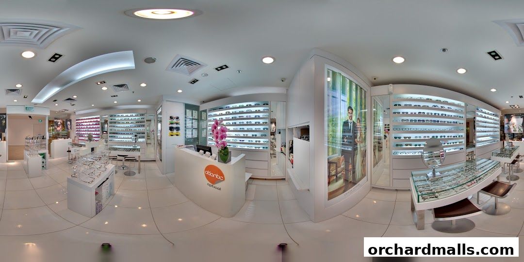 Interior view of Atlantic Optical, showcasing a wide selection of eyeglasses and sunglasses.