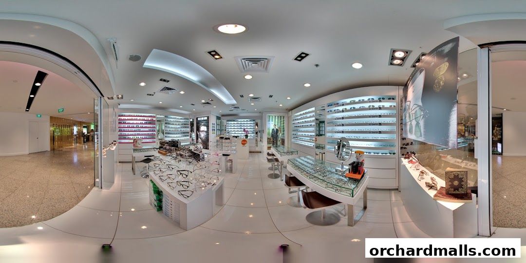 Interior view of a modern optical shop displaying a wide selection of eyeglasses.