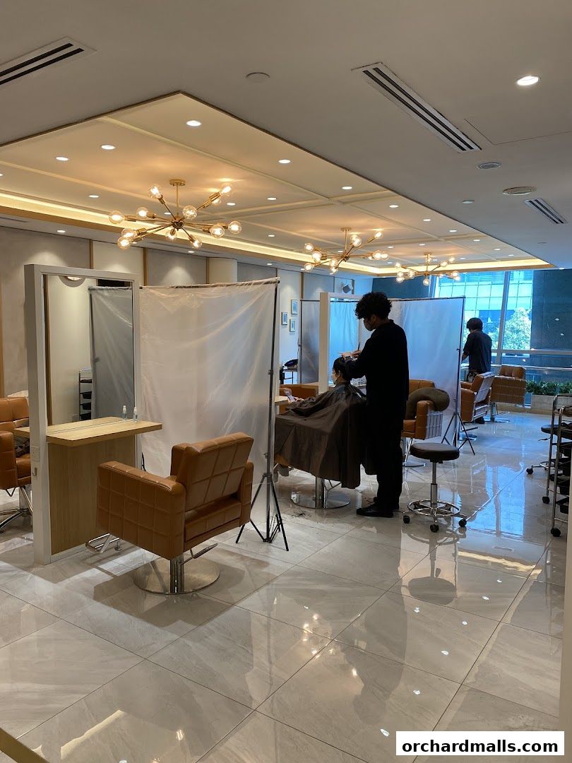 Hairdressers working on clients in a modern, well-lit salon with stylish chairs and lighting.