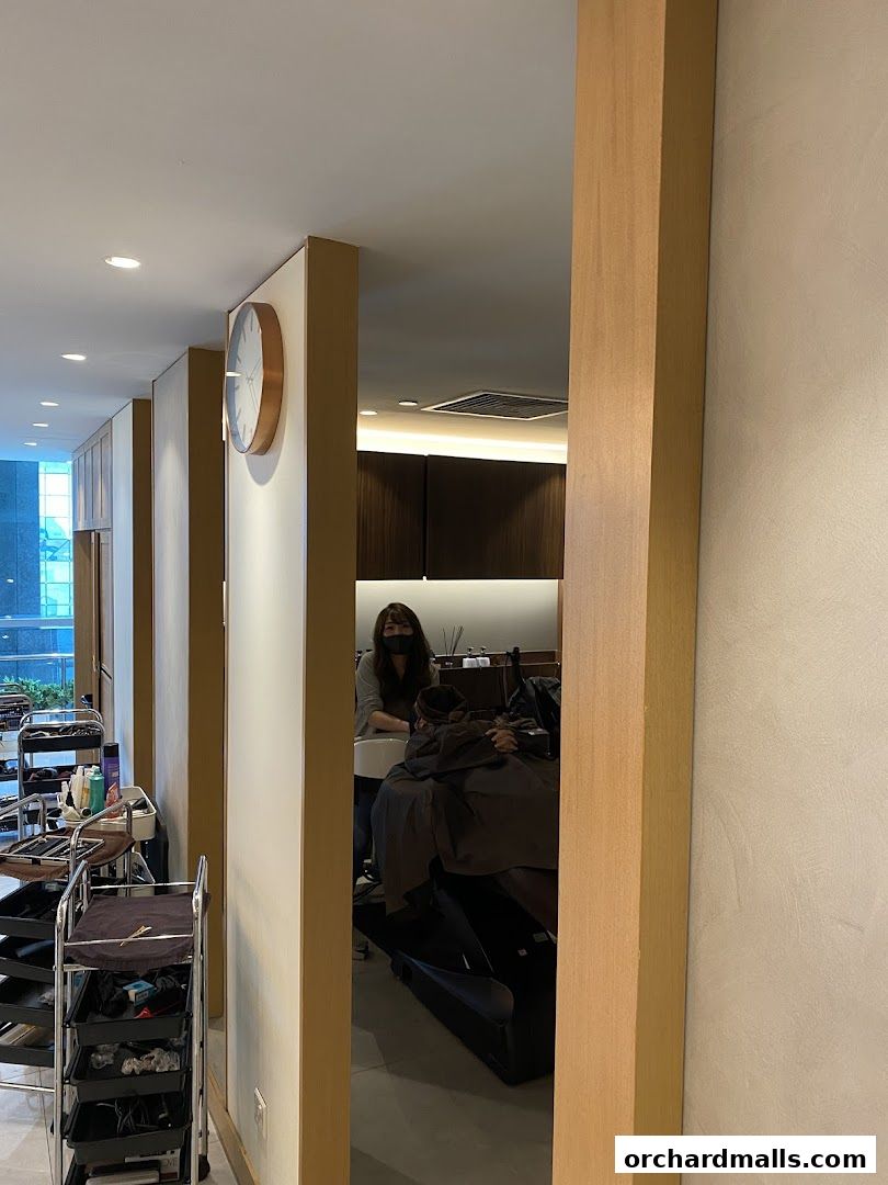 Interior view of AUBE Beauty Salon Wheelock Place with staff and client.