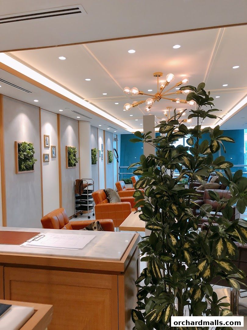 Interior of AUBE Beauty Salon Wheelock Place with modern decor and seating.