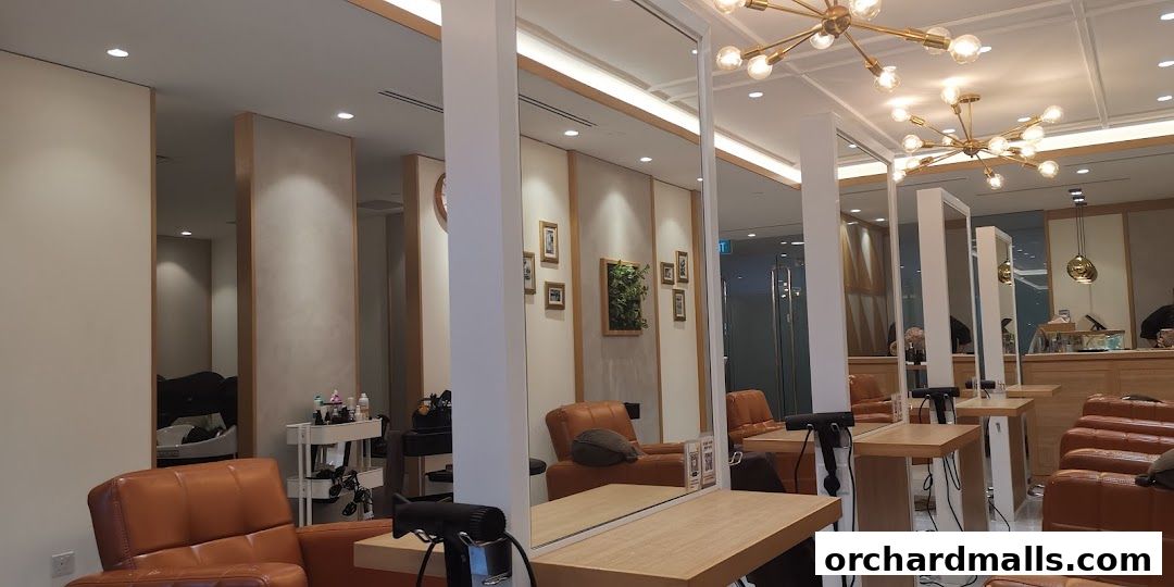 Interior of a modern hair salon with styling stations, mirrors, and comfortable seating.
