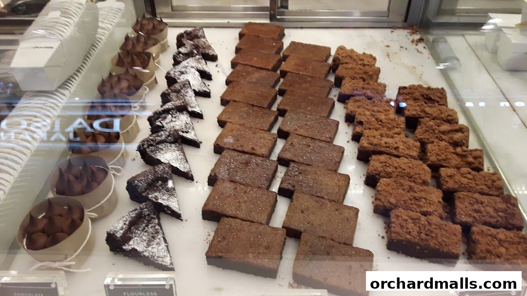A display of various chocolate cakes and pastries in a bakery case.