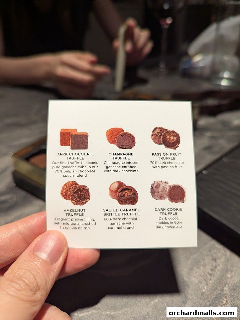 A hand holds a card showcasing six different types of chocolate truffles.