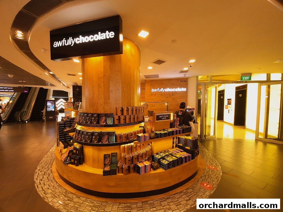 A beautifully displayed chocolate shop with various chocolate products and a warm, inviting ambiance.