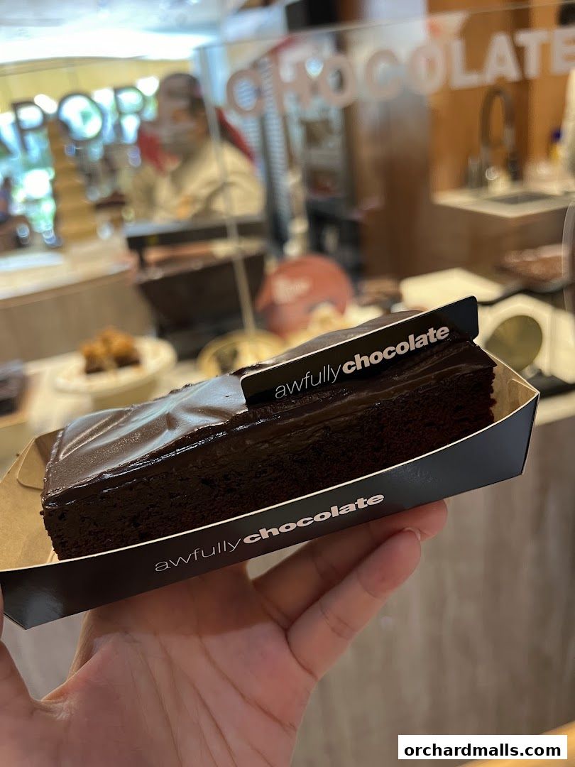 A hand holds a slice of rich chocolate cake from Awfully Chocolate.