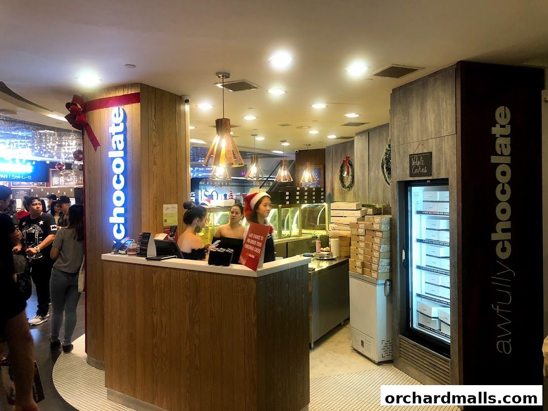 Awfully Chocolate shop interior with staff at the counter and cakes displayed in a fridge.