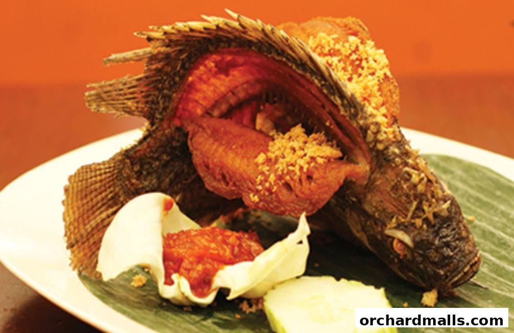 Ayam Penyet President - Lucky Plaza