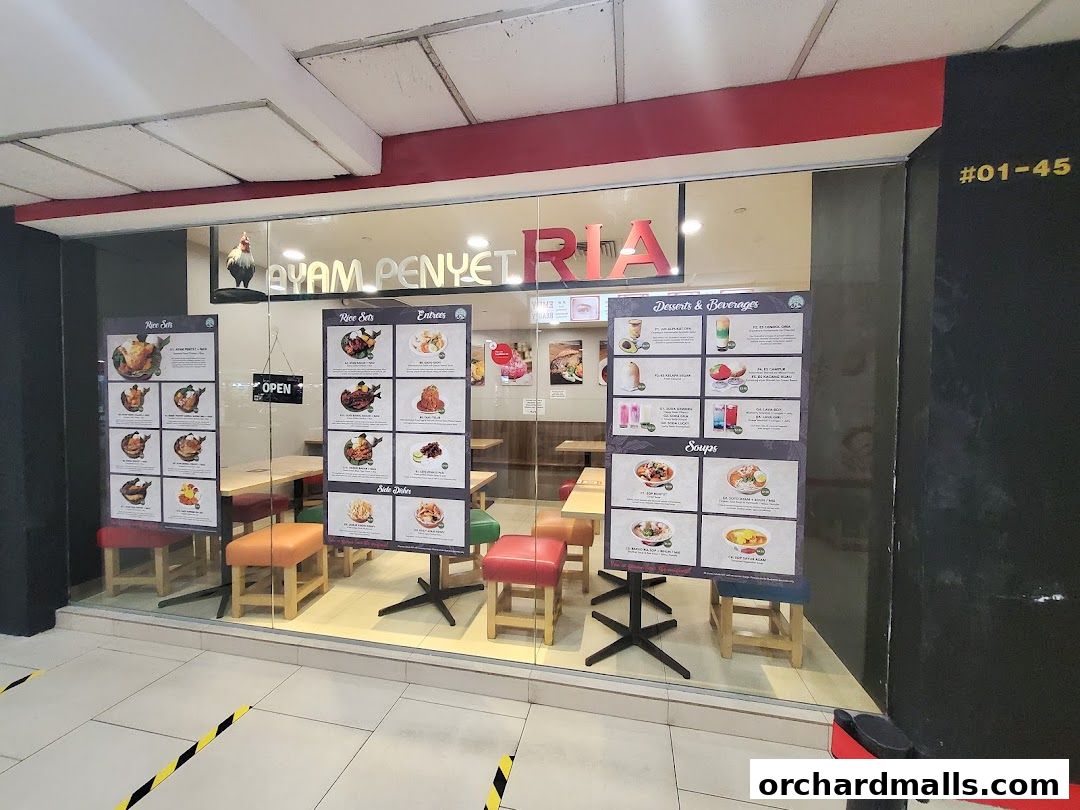 Ayam Penyet Ria - Lucky Plaza
