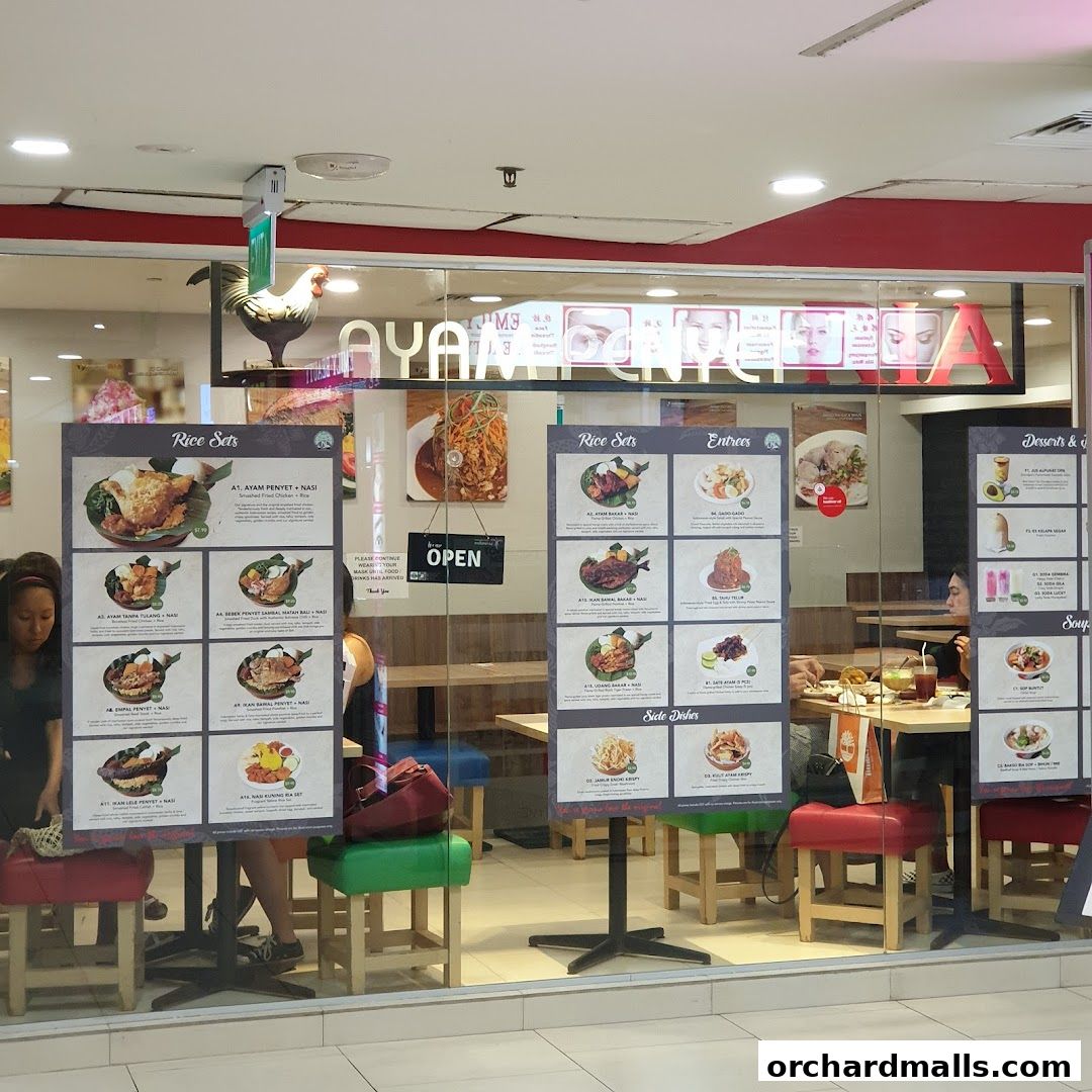 Ayam Penyet Ria - Lucky Plaza