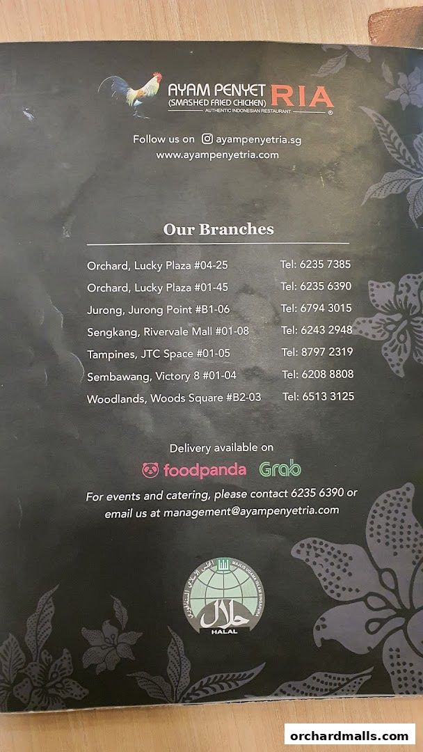 Ayam Penyet Ria - Lucky Plaza