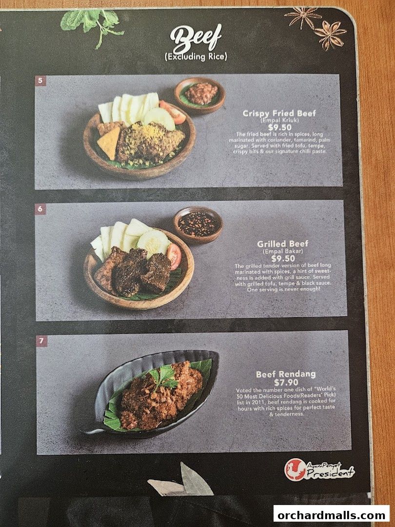 Ayam Penyet Ria - Lucky Plaza