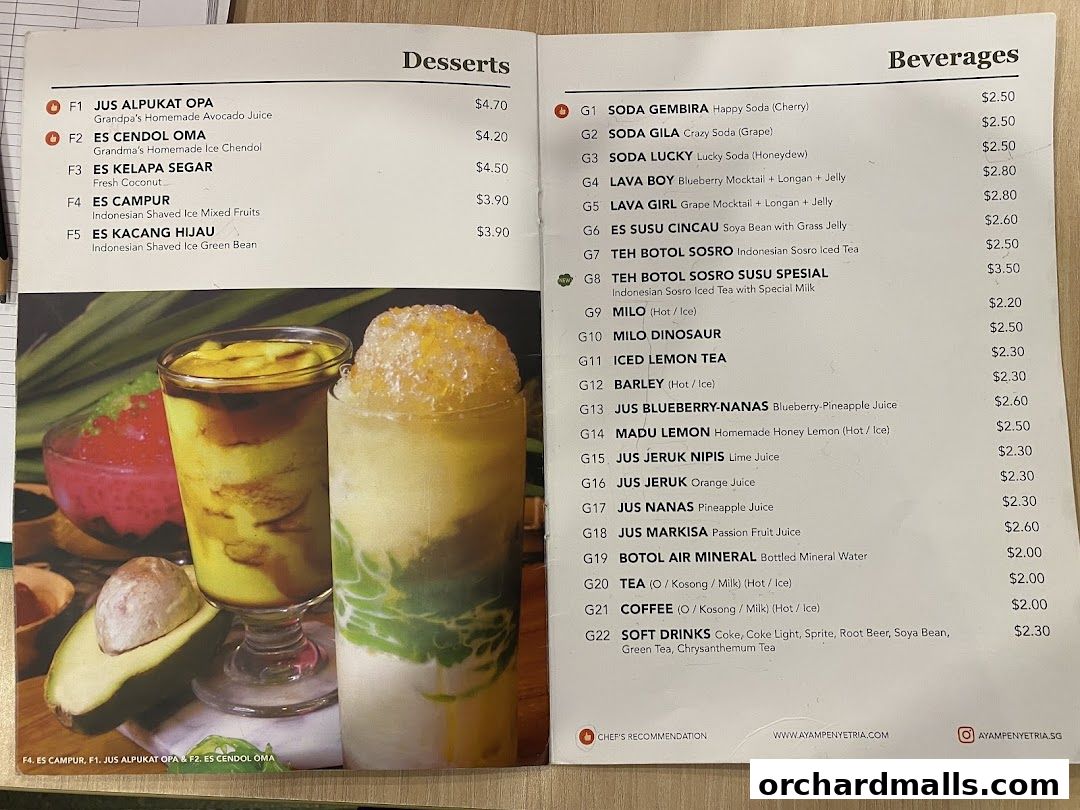 Ayam Penyet Ria - Lucky Plaza