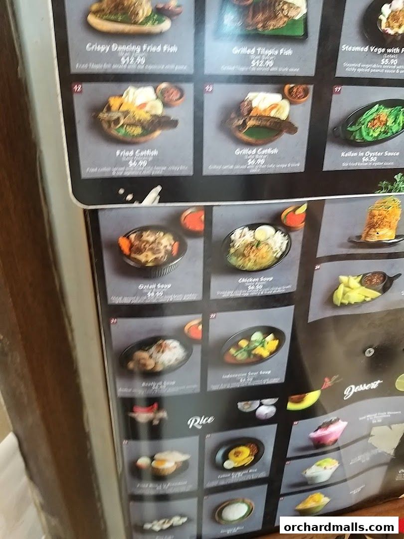 Ayam Penyet Ria - Lucky Plaza