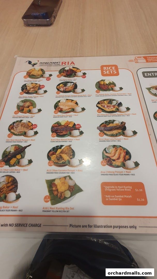 Menu page for Ayam Penyet Ria - Lucky Plaza