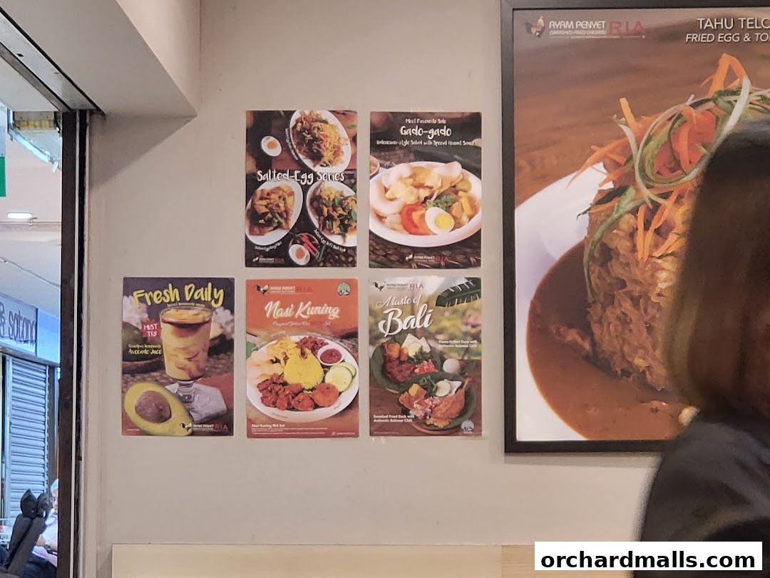 Ayam Penyet Ria - Lucky Plaza