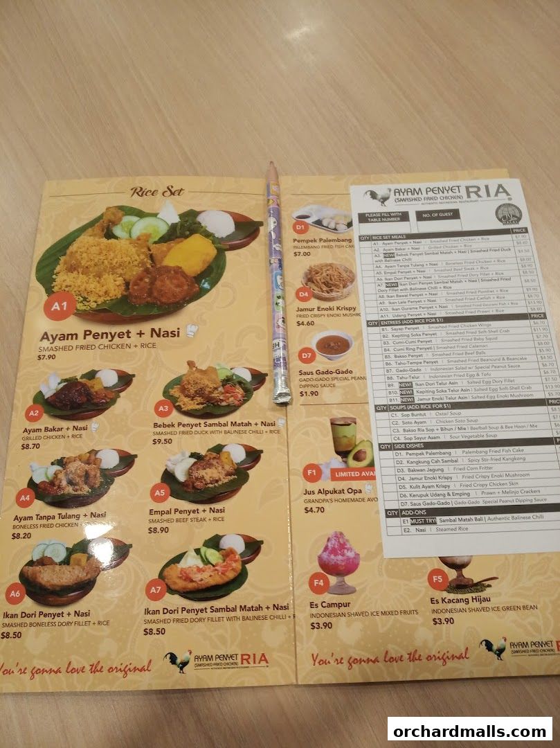 Ayam Penyet Ria - Lucky Plaza