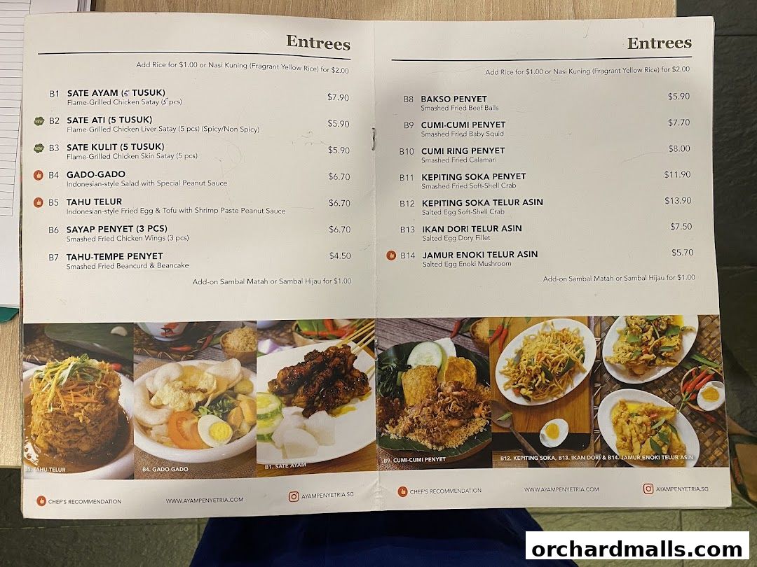 Menu page for Ayam Penyet Ria - Lucky Plaza