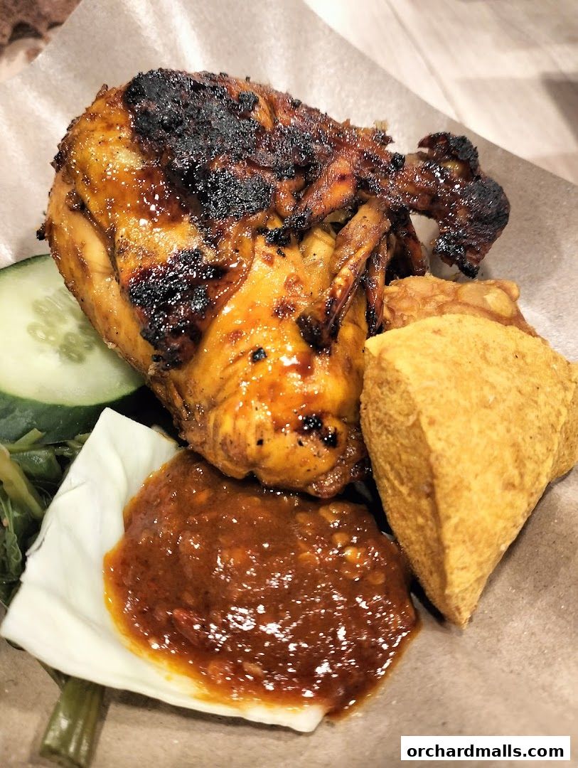 Ayam Penyet Ria - Lucky Plaza