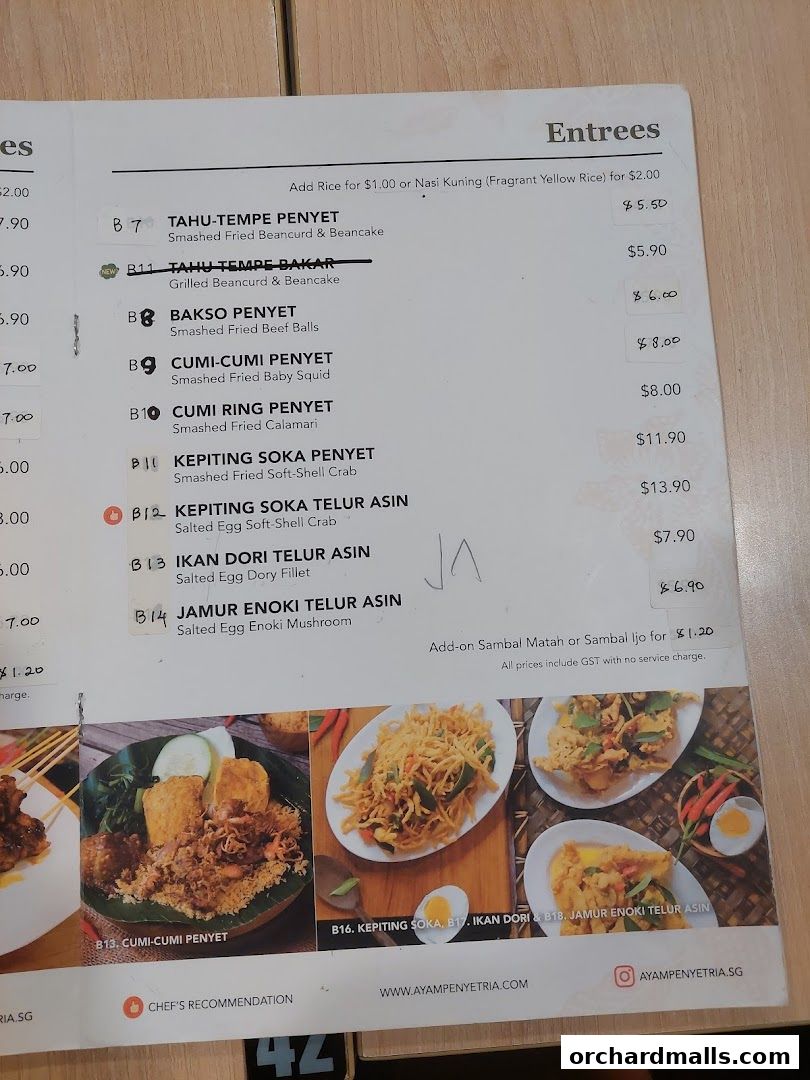 Menu page for Ayam Penyet Ria - Lucky Plaza