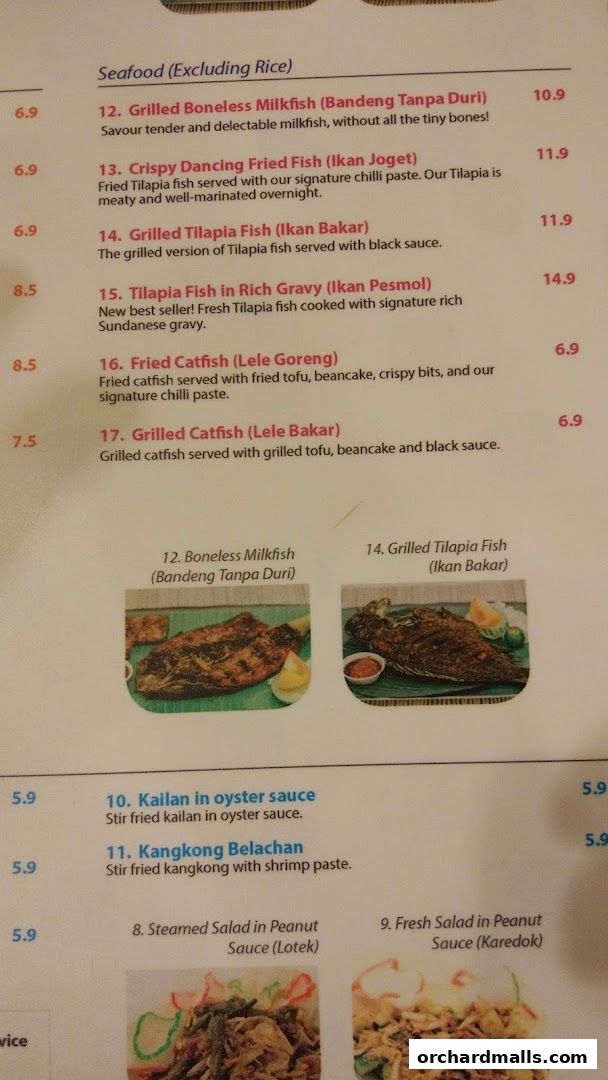 Ayam Penyet Ria - Lucky Plaza