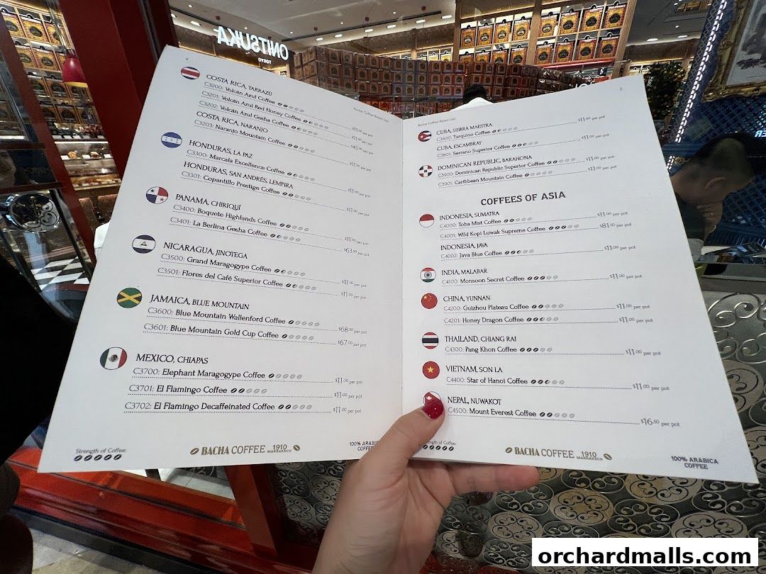 A person holds open a Bacha Coffee menu showcasing a wide selection of coffees from around the world.