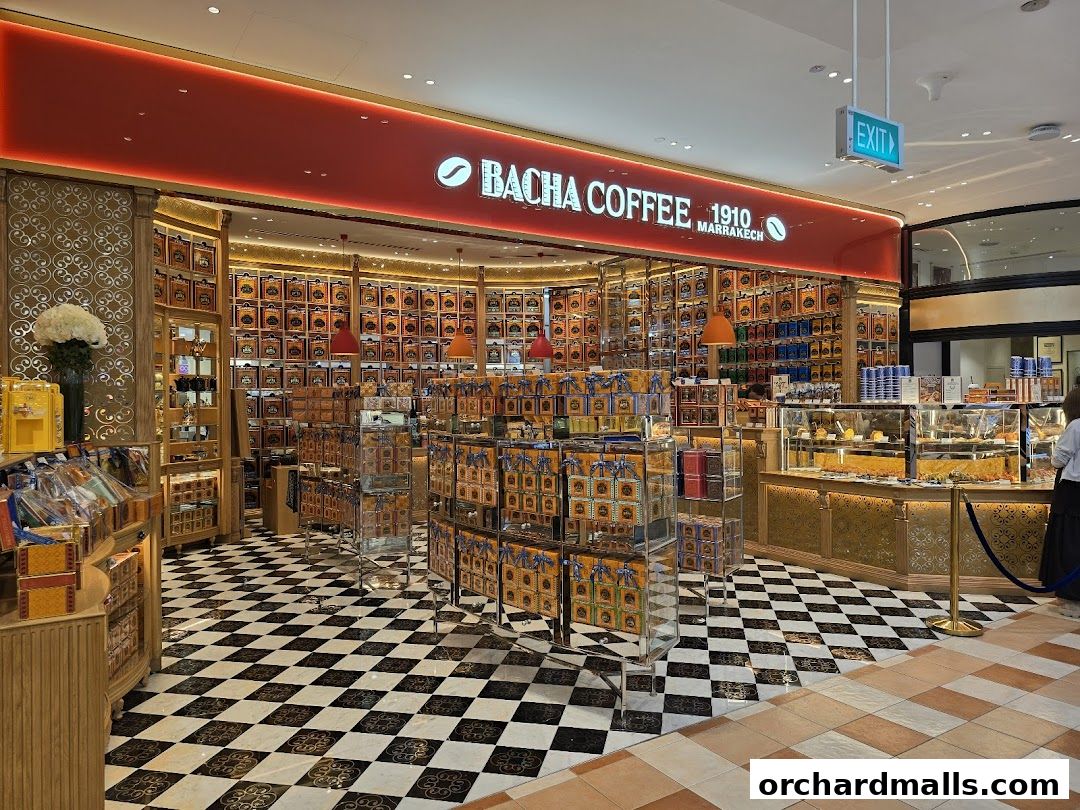 Bacha Coffee shop interior with displays of coffee boxes and a pastry counter.