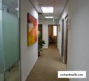 백호 서비스 오피스  White Tiger Serviced Office