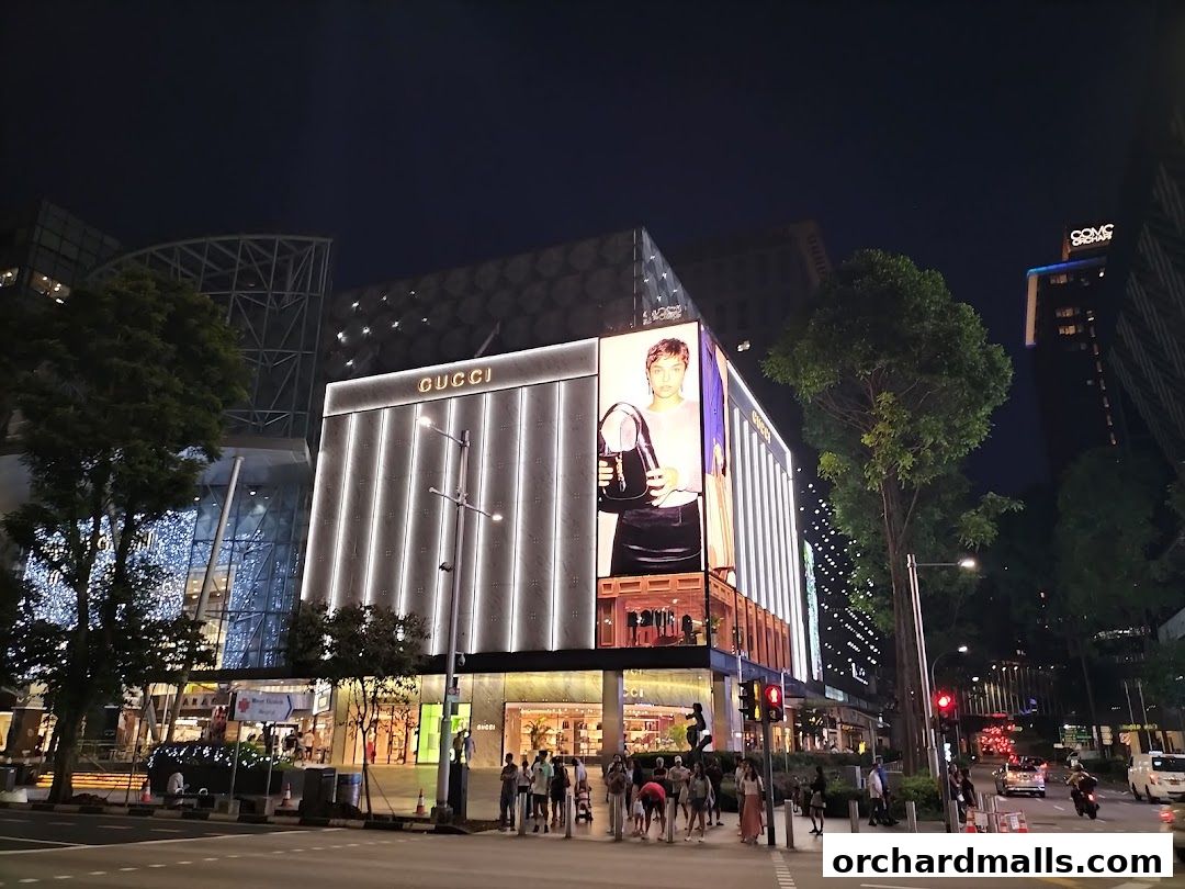 A nighttime view of the Gucci store facade with illuminated signage and a large advertisement.