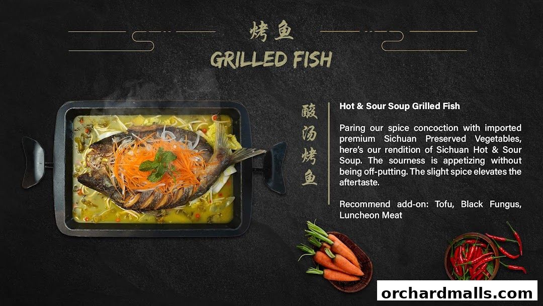 Baguo Grilled Fish 巴国烤鱼 - 313 Somerset