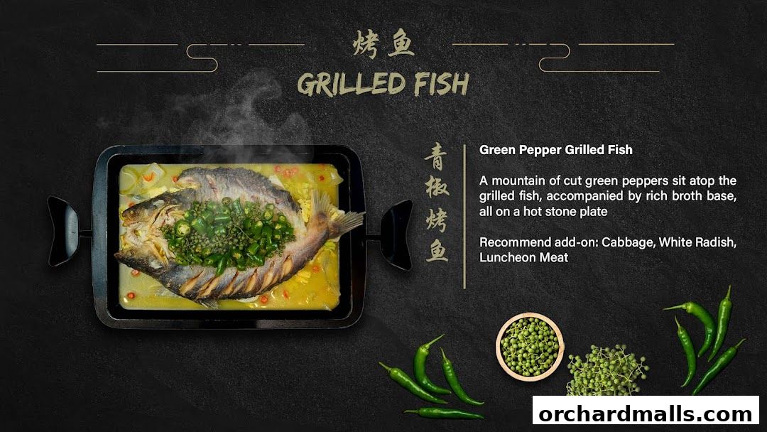 Baguo Grilled Fish 巴国烤鱼 - 313 Somerset