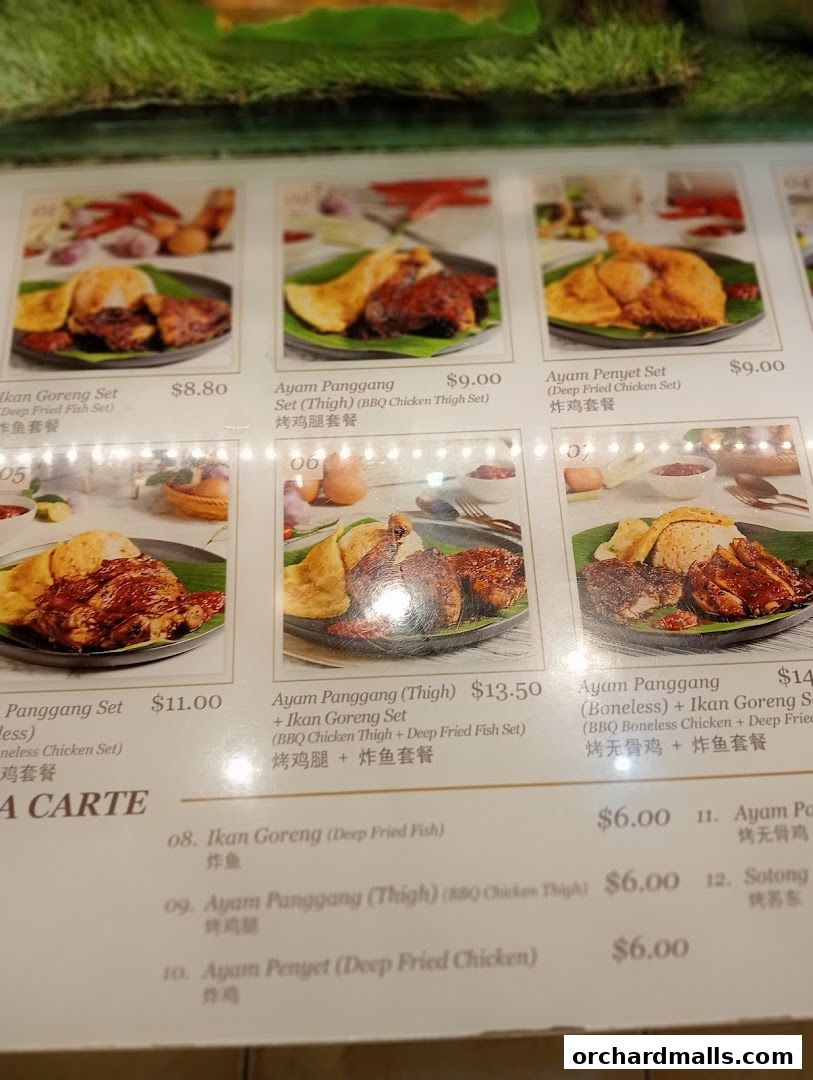 A menu display featuring various Indonesian BBQ chicken and fish dishes with prices.