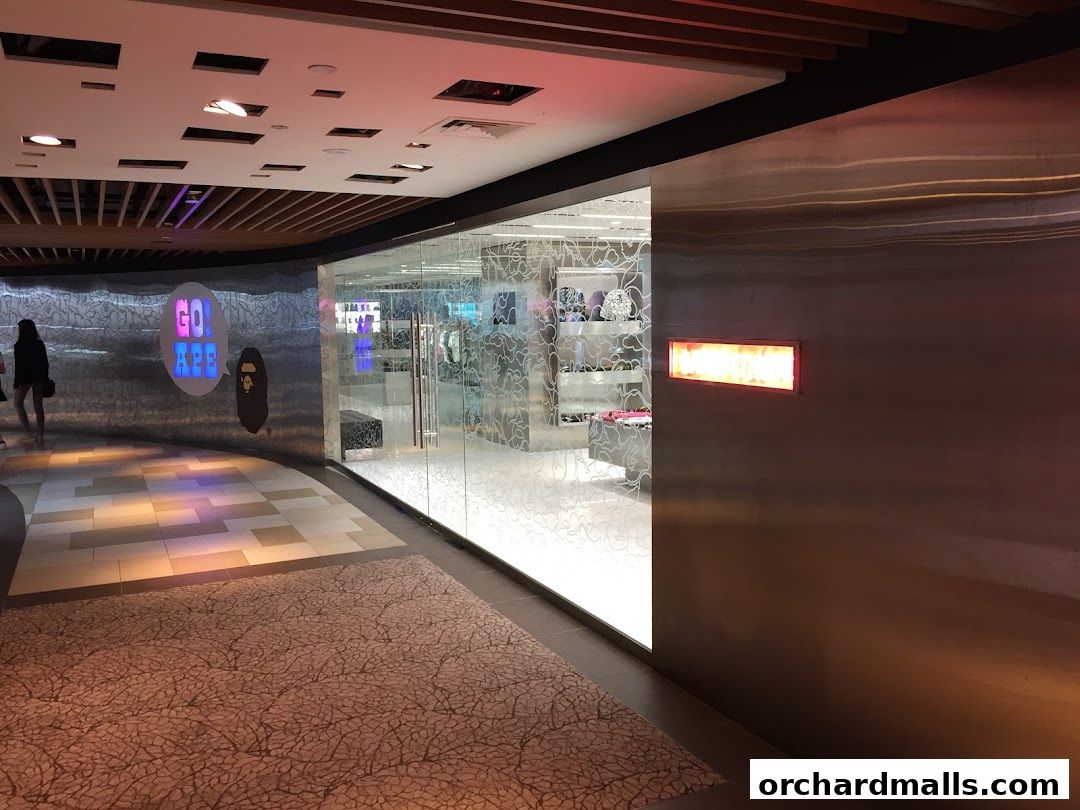 Bape Store Singapore