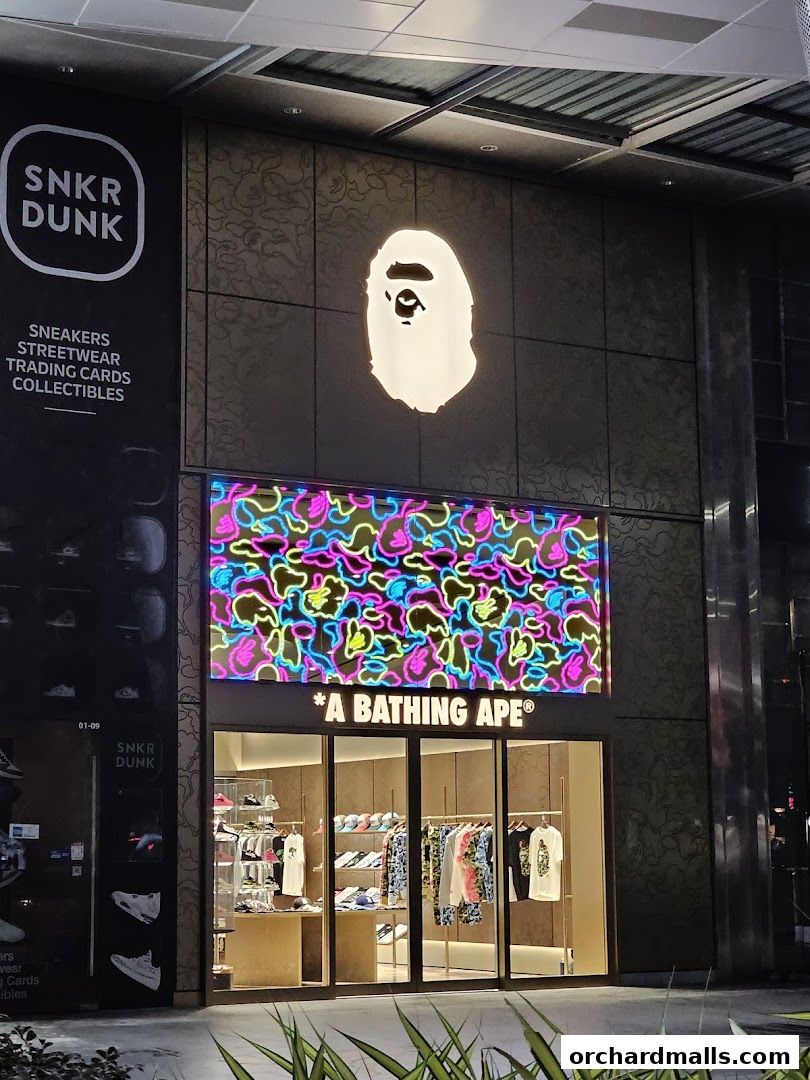Bape Store Singapore