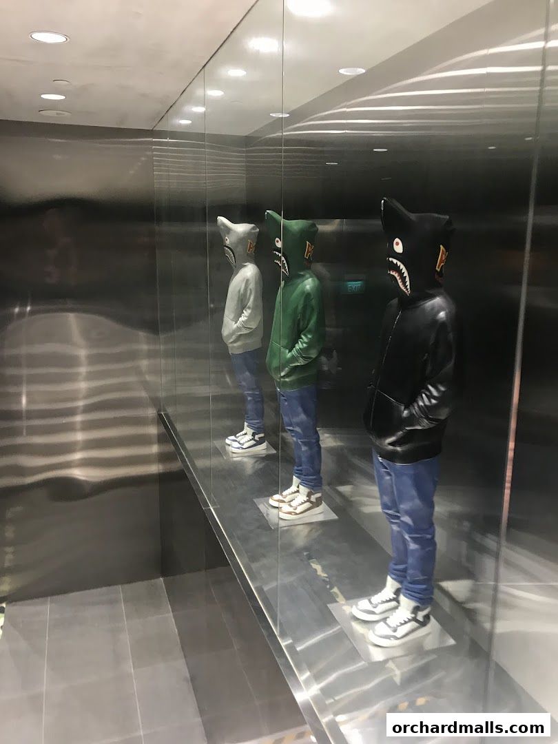 Bape Store Singapore