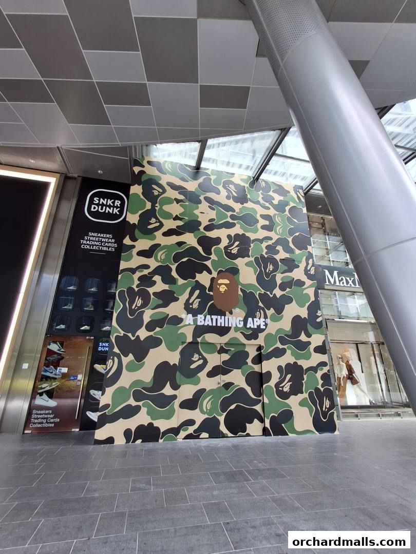Bape Store Singapore