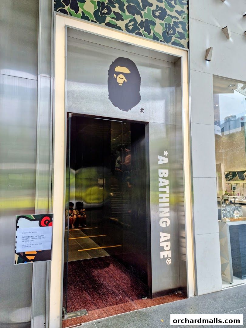 Bape Store Singapore