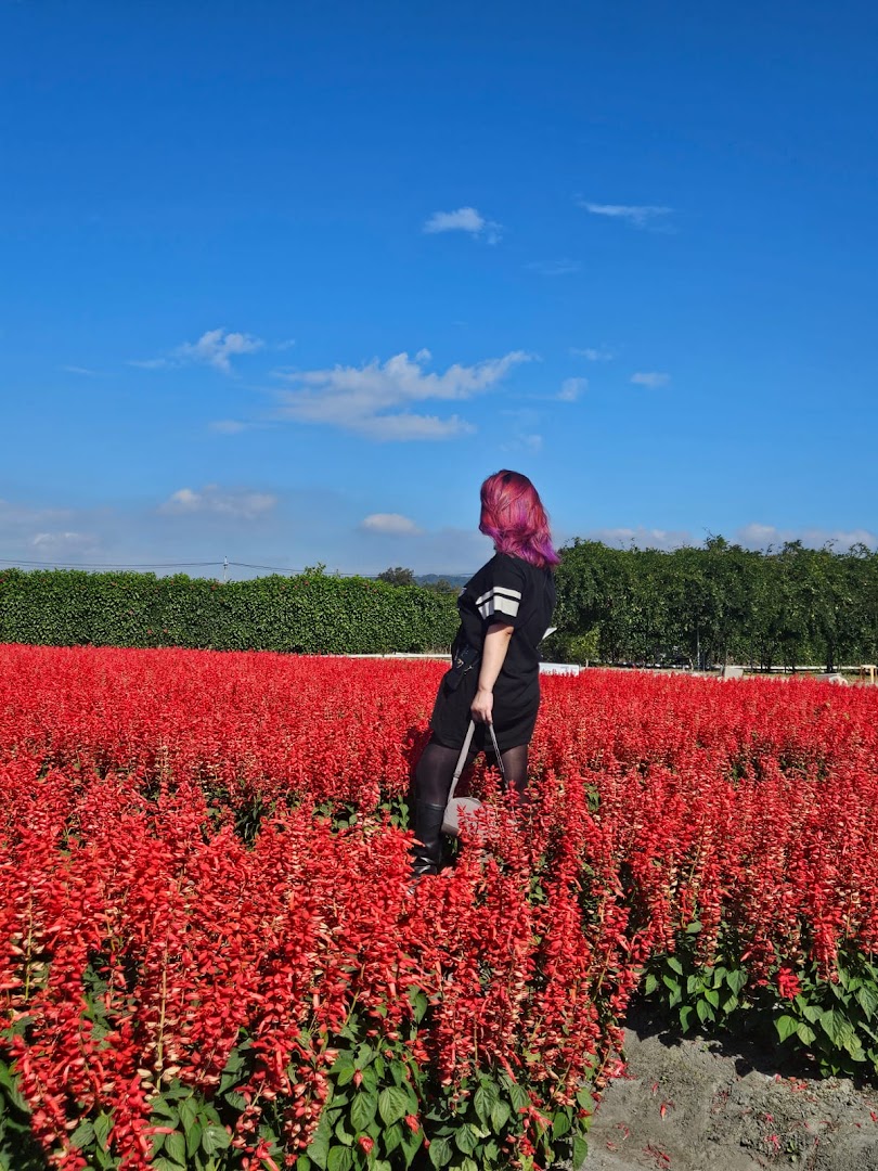 Be Salon Wheelock Orchard