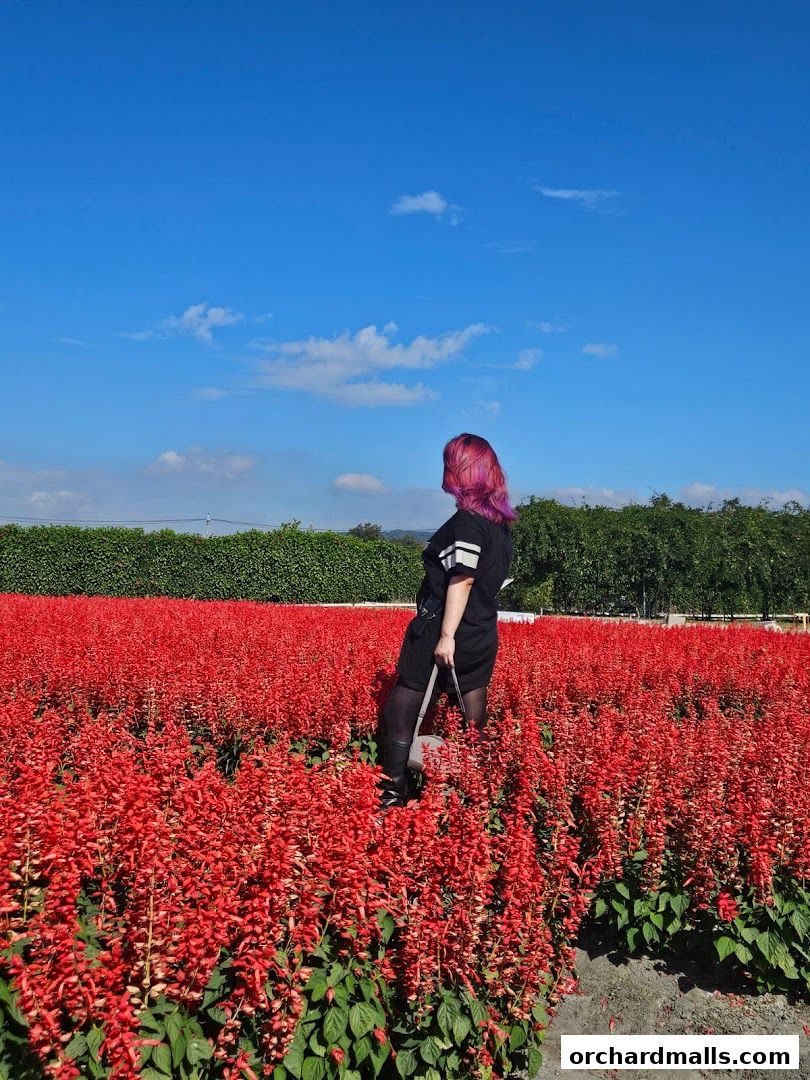 A person with vibrant purple hair stands in a field of bright red flowers under a blue sky.